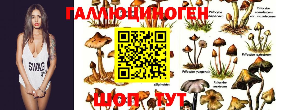 Галлюциногенные грибы мухоморы Жигулёвск
